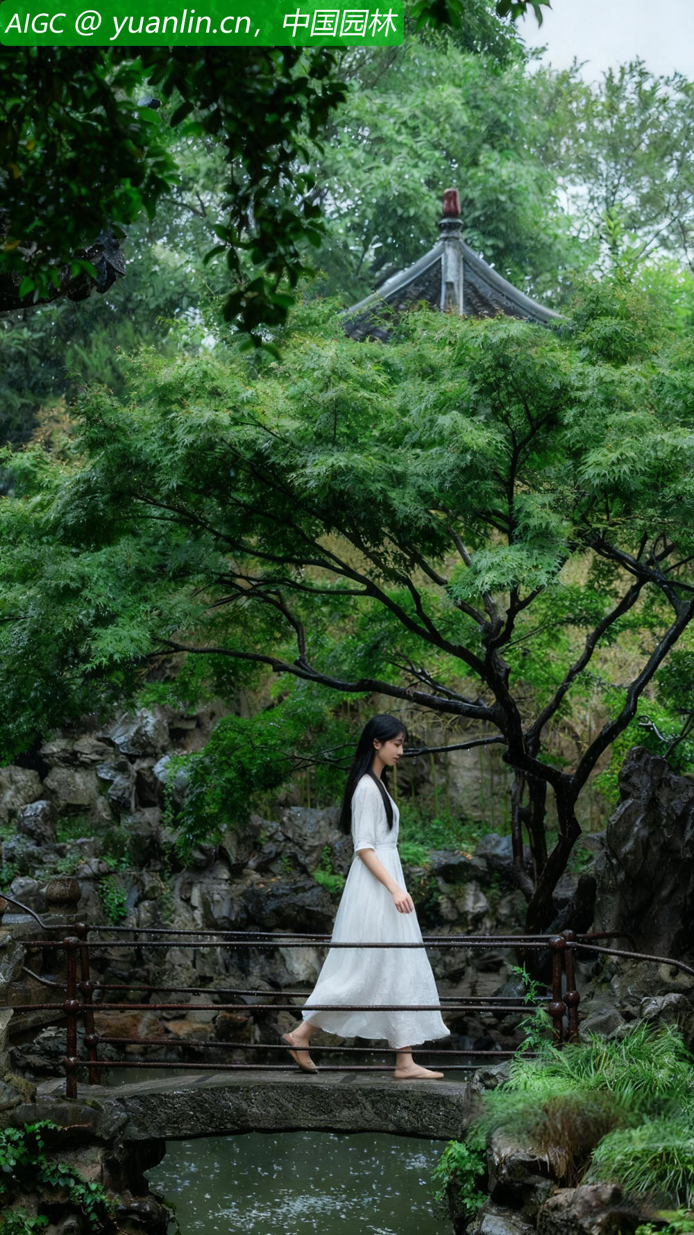 yuanlin20251025b.jpg