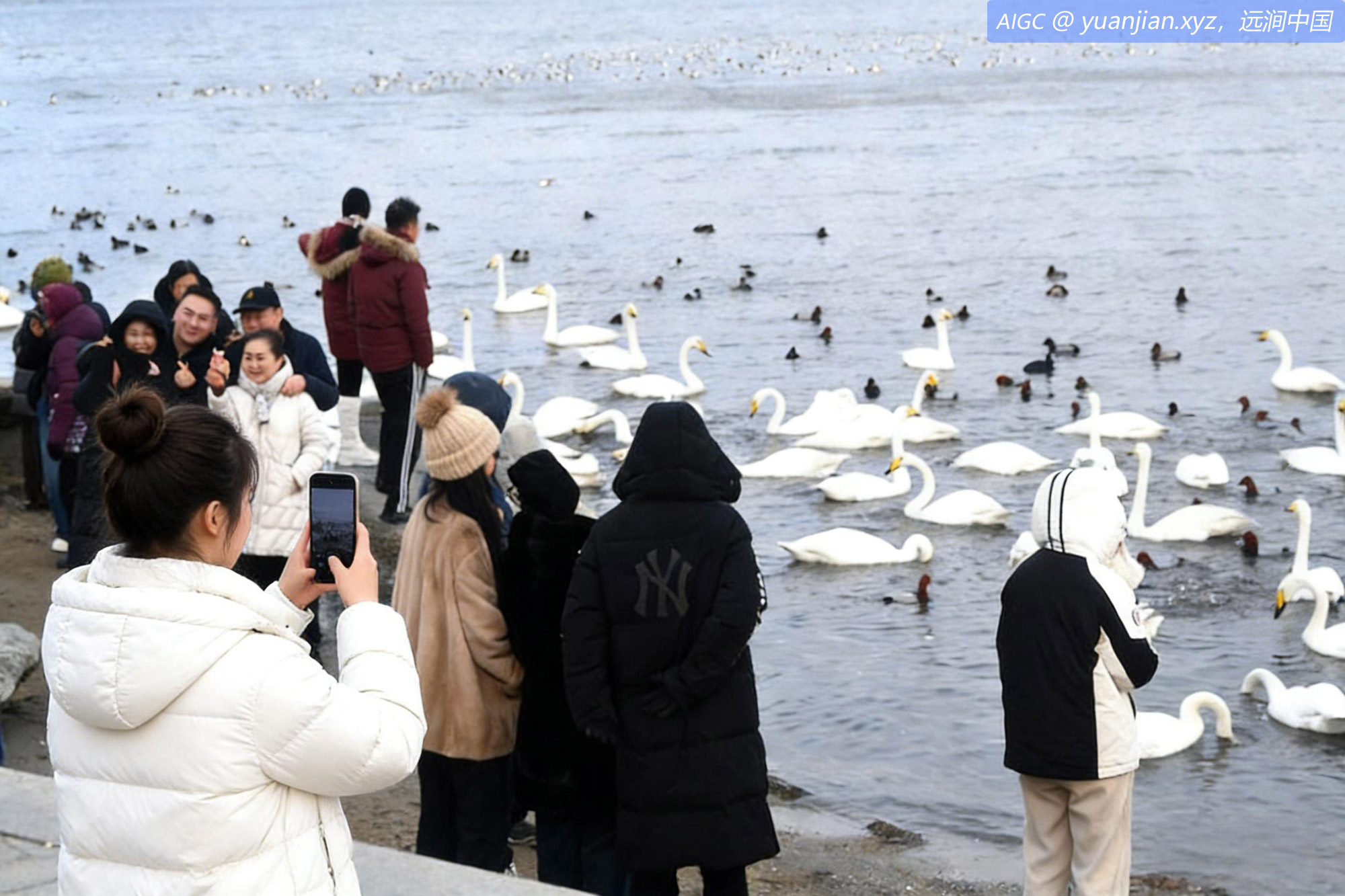 游客在观赏拍摄冰雪中的大天鹅翩翩起舞